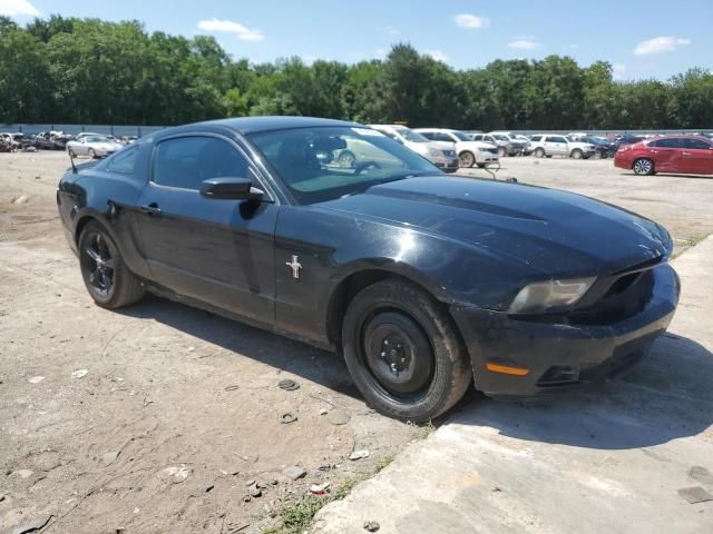 2010 Ford Mustang