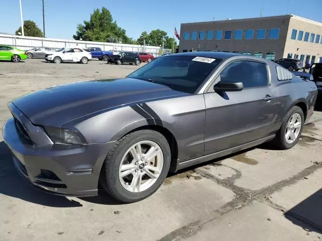 2014 Ford Mustang