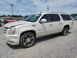 Vehiculos salvage en venta de Copart Indianapolis, IN: 2013 Cadillac Escalade ESV Premium