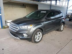 Salvage cars for sale at Phoenix, AZ auction: 2019 Ford Escape SEL