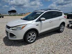 Carros salvage sin ofertas aún a la venta en subasta: 2013 Ford Escape SEL