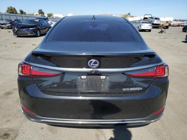 2021 Lexus ES 300H