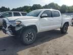 2019 Toyota Tacoma Double Cab