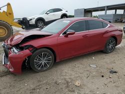 Salvage cars for sale at West Palm Beach, FL auction: 2024 Lexus ES 350 Base