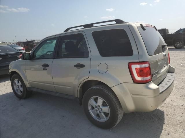 2010 Ford Escape XLT