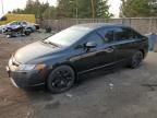 2006 Honda Civic LX