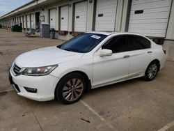 Salvage cars for sale at Louisville, KY auction: 2014 Honda Accord EXL