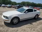 2009 Ford Mustang