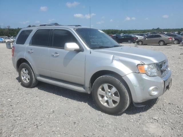 2010 Ford Escape Limited