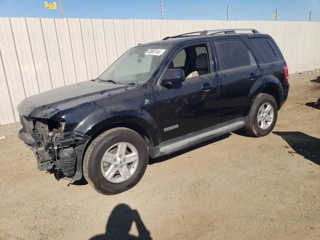 2008 Ford Escape HEV