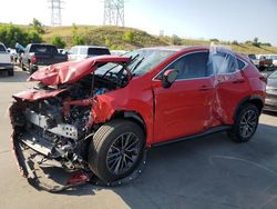 Lexus salvage cars for sale: 2024 Lexus NX 350H Base