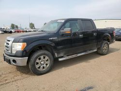 Salvage cars for sale at Rocky View County, AB auction: 2009 Ford F150 Supercrew