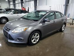 Salvage cars for sale at Ham Lake, MN auction: 2014 Ford Focus SE