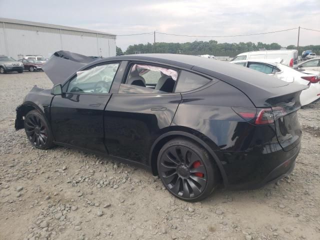 2024 Tesla Model Y