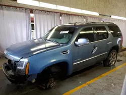 Cadillac Vehiculos salvage en venta: 2010 Cadillac Escalade Luxury