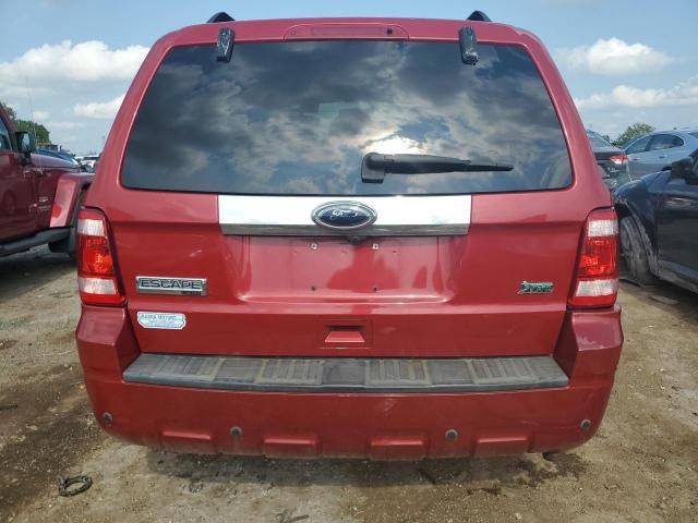 2010 Ford Escape Limited