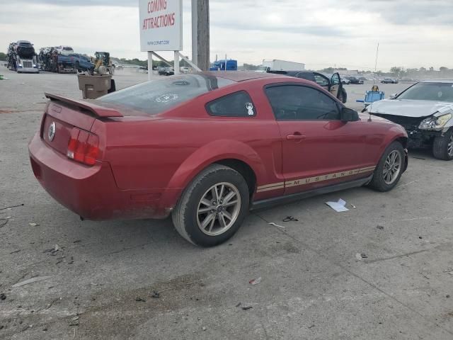 2005 Ford Mustang