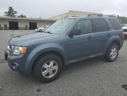 Ford salvage cars for sale: 2010 Ford Escape XLT