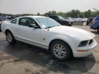 2009 Ford Mustang