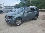 2010 Ford Escape Limited