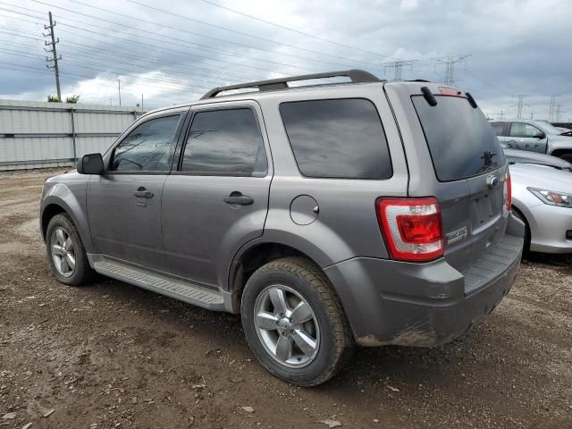 2010 Ford Escape XLT