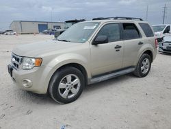 Salvage cars for sale from Copart Haslet, TX: 2011 Ford Escape XLT