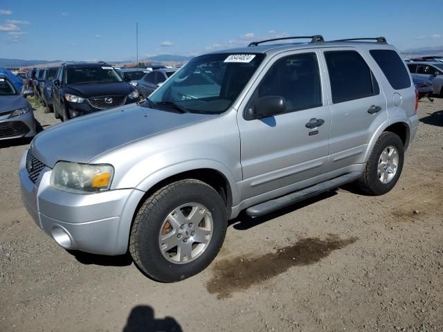 2007 Ford Escape XLT