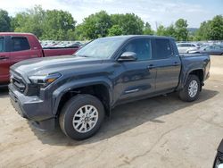 Salvage cars for sale at Marlboro, NY auction: 2024 Toyota Tacoma Double Cab