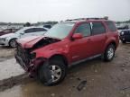 2008 Ford Escape Limited