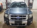 2010 Ford Escape Limited