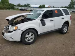 Ford Vehiculos salvage en venta: 2012 Ford Escape XLS