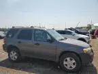 2005 Ford Escape XLT