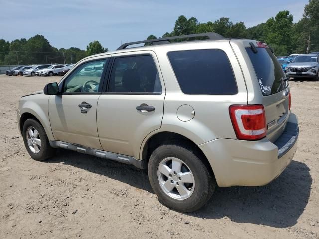 2010 Ford Escape XLT