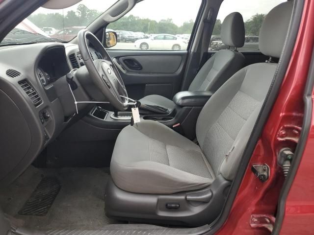 2007 Ford Escape XLT