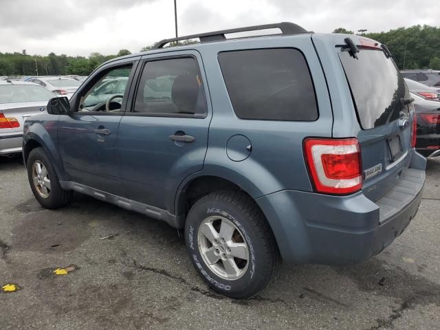 2010 Ford Escape XLT