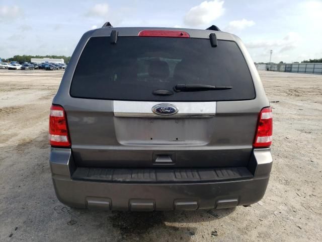 2011 Ford Escape XLT