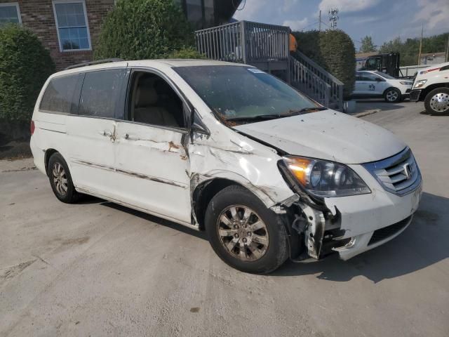 2010 Honda Odyssey EXL