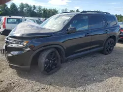 Carros salvage a la venta en subasta: 2025 Honda Pilot Black