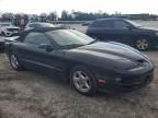 1999 Pontiac Firebird Trans AM