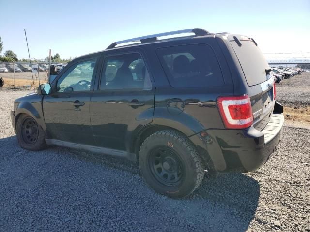 2010 Ford Escape Limited