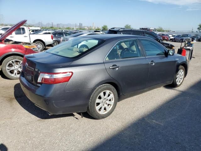 2009 Toyota Camry Hybrid