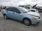 2009 Ford Focus SE