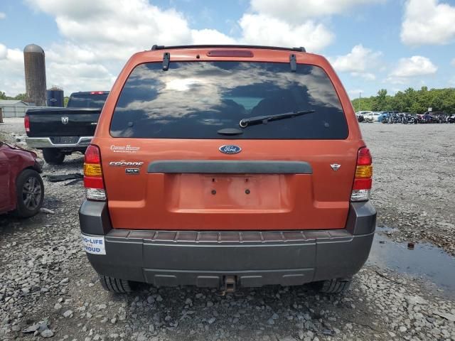 2006 Ford Escape XLT