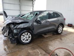 Salvage cars for sale at Albuquerque, NM auction: 2024 Ford Escape Active