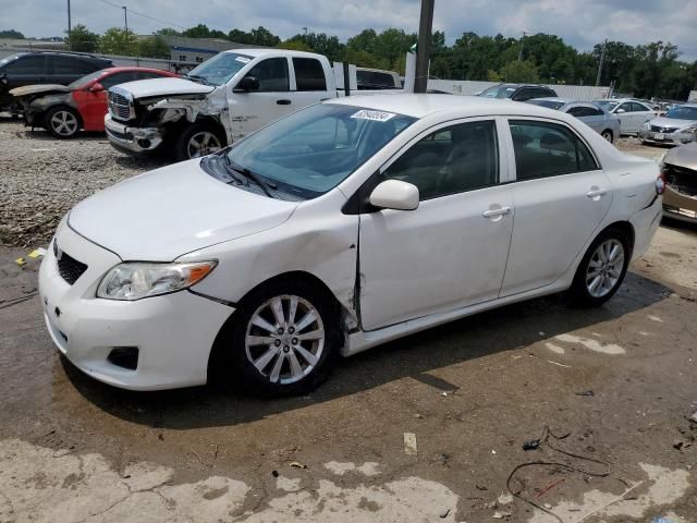 2009 Toyota Corolla Base