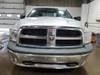 2009 Dodge RAM 1500