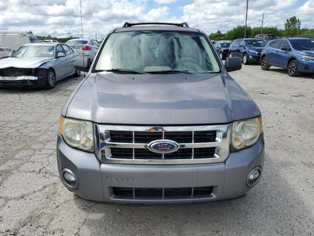 2008 Ford Escape XLT