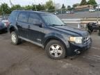 2008 Ford Escape XLS