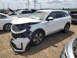 Salvage cars for sale at Elgin, IL auction: 2024 KIA Sorento SXP