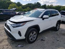 Carros salvage a la venta en subasta: 2023 Toyota Rav4 XLE